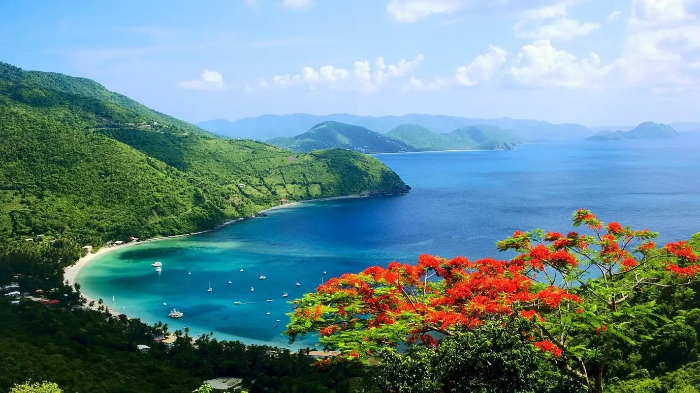 高效信息化高端